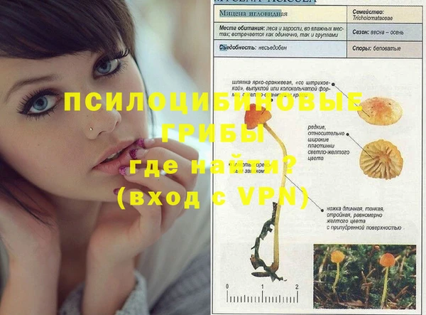винт Аркадак