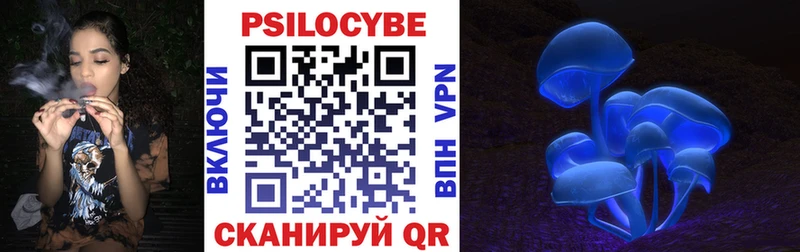 Галлюциногенные грибы мицелий  Волхов 