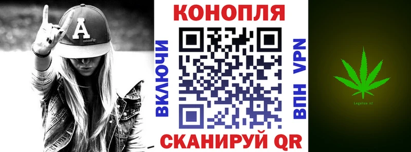 Шишки марихуана семена  Волхов 